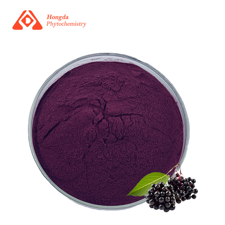 Elderberry Extract Powder Bulk